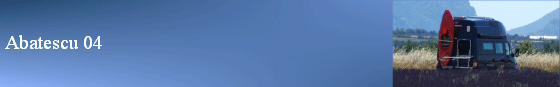 Abatescu 04
