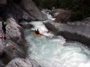 Rovana 2007 0101101104