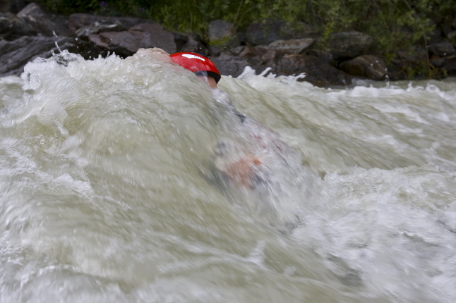 �fnen Cowtail Stefan