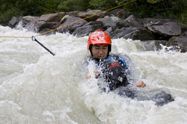 �ffnen Cowtail Floh