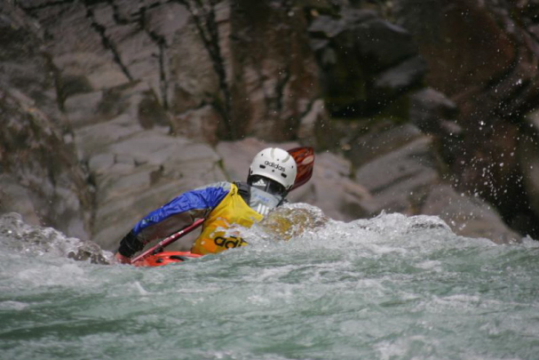 Sick Line Wellerbr�cke 20061