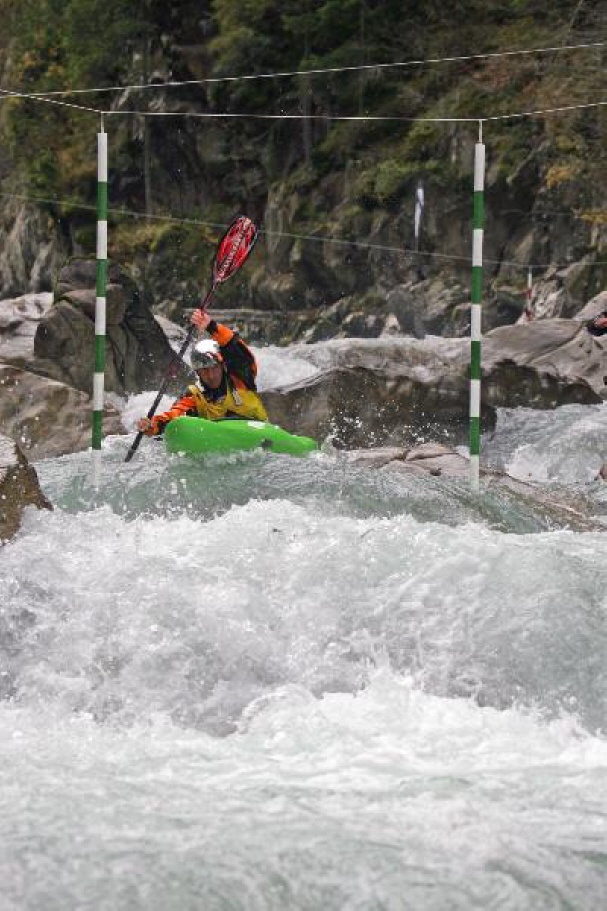 Sick Line Wellerbr�cke 200660