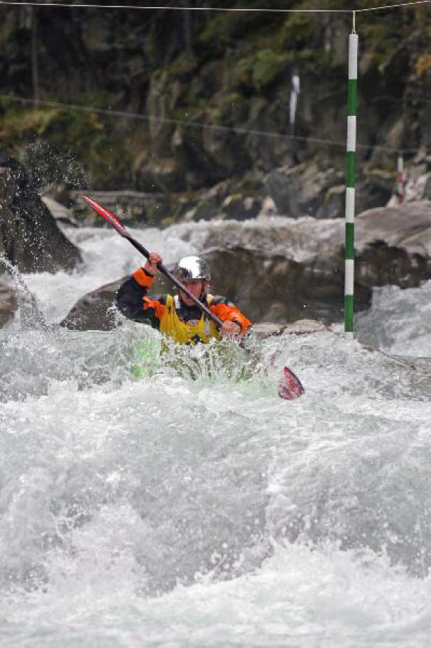 Sick Line Wellerbr�cke 200661