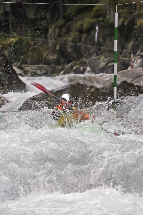 Sick Line Wellerbr�cke 200662