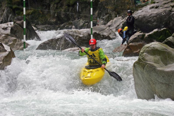 Sick Line Wellerbr�cke 200688