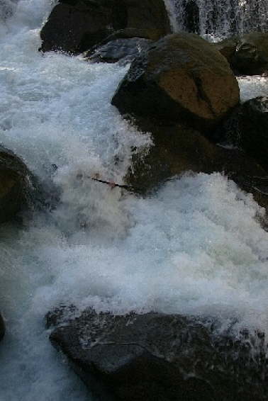 Wellerbr�cke 200529