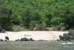 Zambesi 2008  87